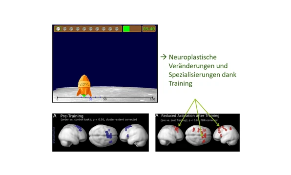 Grafari - Mental number line training in children with developmental dyscalculia