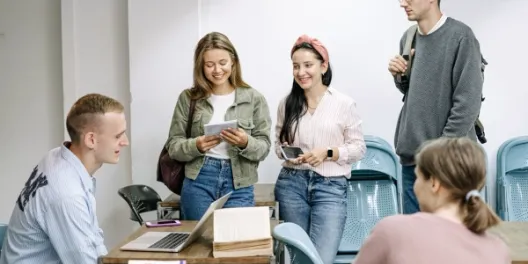 Postdocs, PhD students & librarians using Constructor Research
