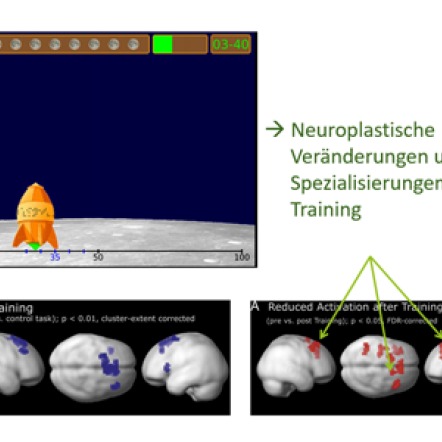 MentalNumberLineStudie_2011