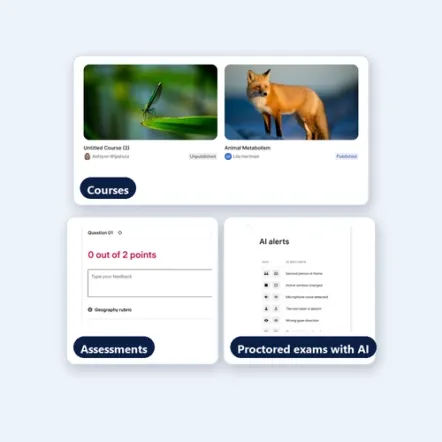 Constructor Learn courses, assessments, and AI-monitored proctored exams on one login
