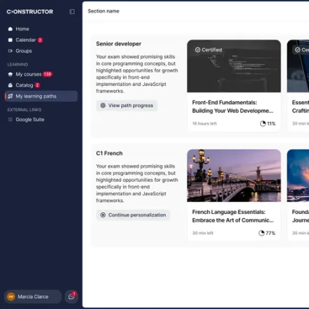 Constructor Learn learning paths dashboard showing courses and learner progress